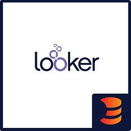 Looker Downloader logo