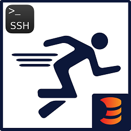 SSH Runner logo